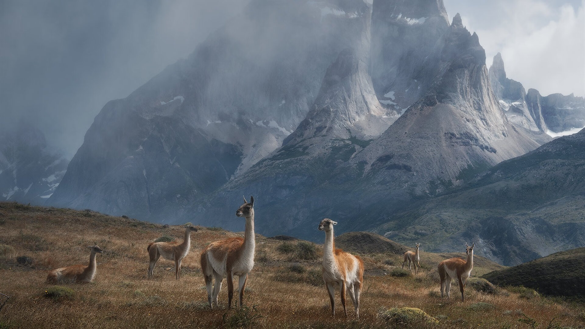 【运动员心路】丁俊晖:面对“压力”如何调整心态?,丁俊晖训练视频