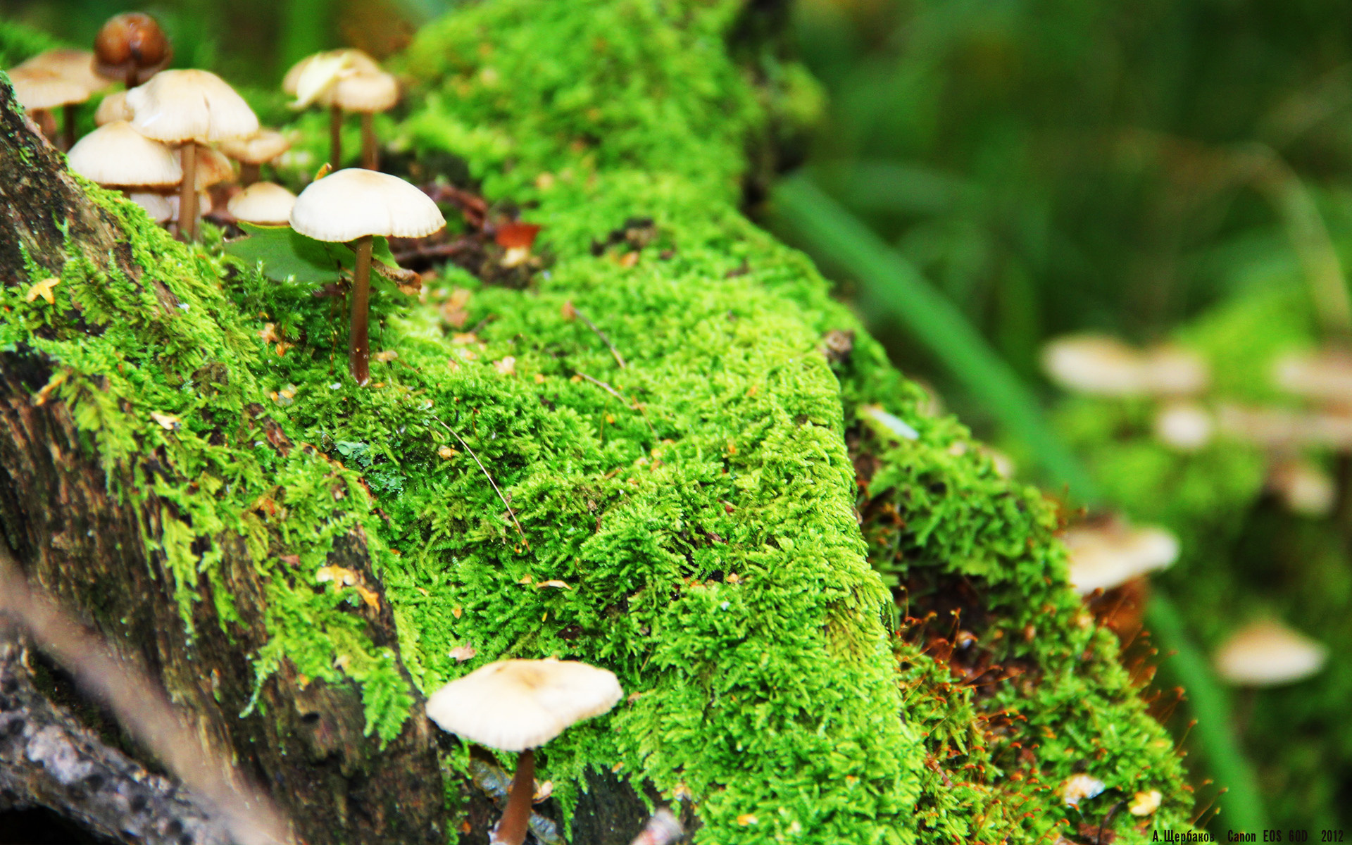 开云官方网页登录-传统硬件巨头纷纷布局电竞，推动行业创新发展，传统电竞服务有哪些