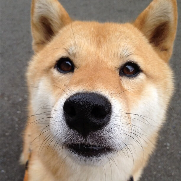 全国青少年足球裁判员培训体系“全覆盖”，行业公正程度明显提升