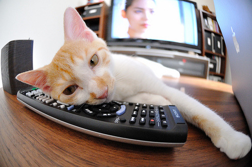 国际空中飞人特技表演，视觉震撼的极限运动盛典，空中飞人动作