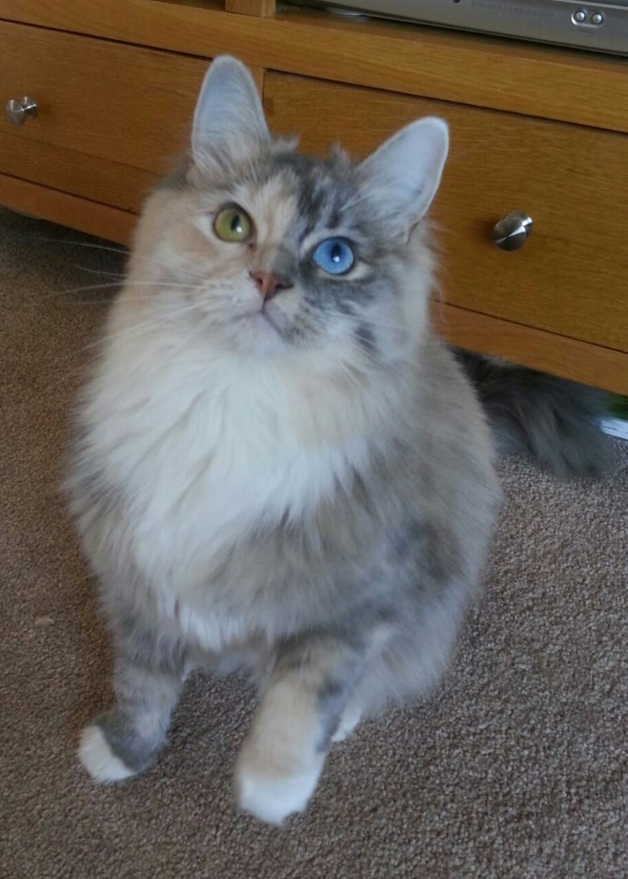 kering.com-巴黎再签一名超级中场，梦想再升级，曝巴黎正酝酿超级转会